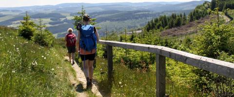 Promenade thérapeutique en Allemagne: découvrez le "Goldene Pfad"