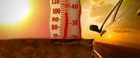 canicule / hittegolf