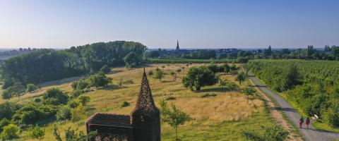 Limbourg