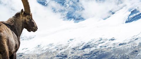 Aosta vallei activiteiten