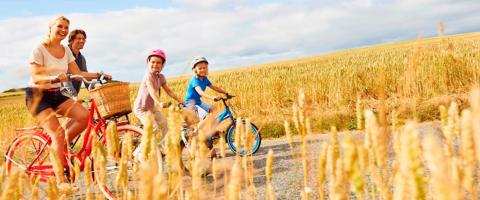 100 excursions en Belgique: Limbourg