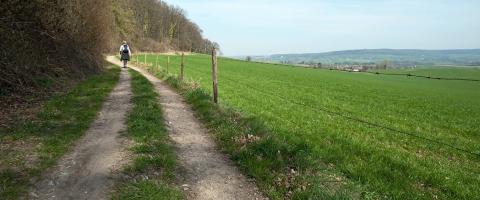 100 excursions en Belgique: les Grands Sentiers de randonnée