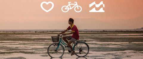 fiets aan de zee -  icoontjes 