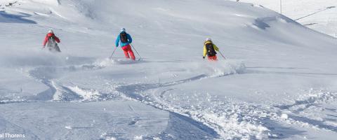 Sports d'hiver, skieurs dans la poudreuse