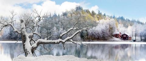 Zweden winter