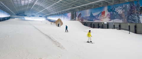 Indoor ski