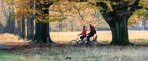 Achterhoek openingsbeeld