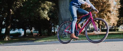 Origine lichte elektrische fiets