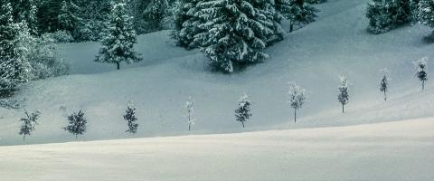 winterbanden
