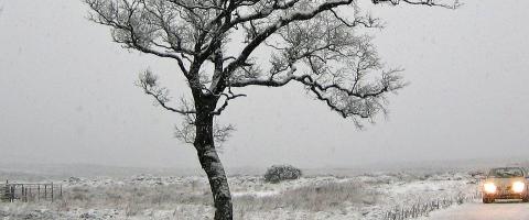 winterbanden