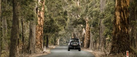 roadtrip net over de grens