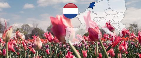 Nederland vakantie