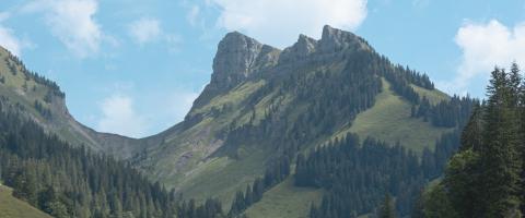 Zwitserland, Bergzicht