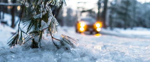 Winterbanden