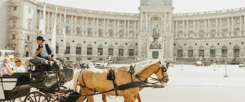Wenen, Hofburg, paardenkoets