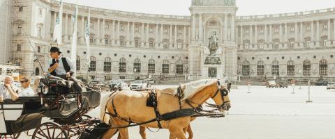 Vienne, Hofburg, une calèche