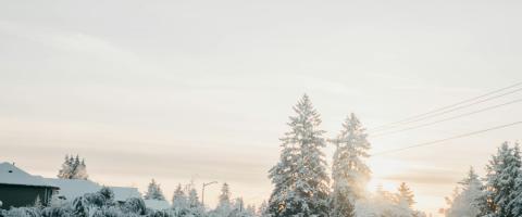 auto in sneeuwlandschap