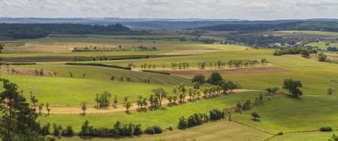 Glooiend groen landschap onder een bewolkte hemel.
