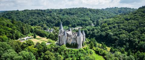 château entièrement entouré d'une forêt verdoyante.