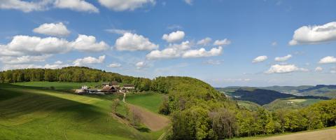Suisse paysage verdoyant et vallonné.