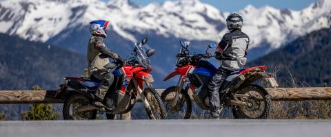 Honda CRF300 Rally