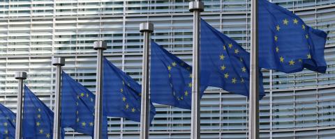 rij Europese unie vlaggen