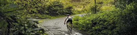 Velofollies