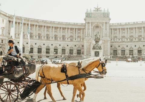 Wenen, Hofburg, paardenkoets