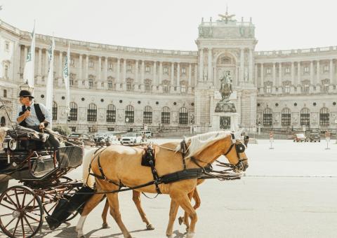 Vienne, Hofburg, une calèche