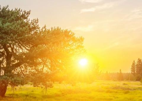 prairie verte au coucher de soleil avec une maison de vacances dans le fond et un arbre au milieu