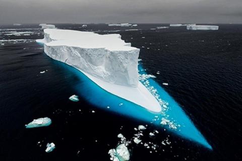 Born to Ice - Paul Nicklen