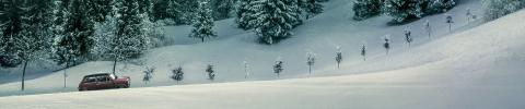 winterbanden