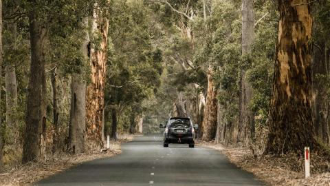 Escapades en voiture au-delà de la frontière