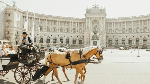 Vienne, Hofburg, une calèche