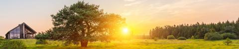 prairie verte au coucher de soleil avec une maison de vacances dans le fond et un arbre au milieu