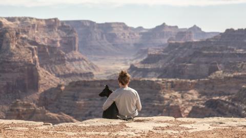 Homme avec un animal de compagnie avec vue sur le Grand Canyon.