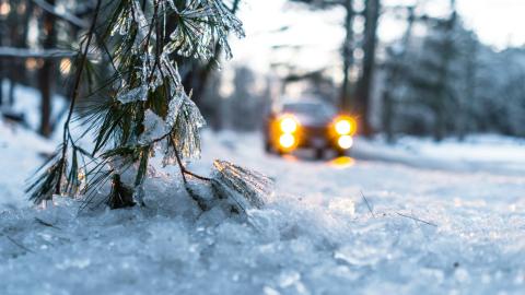 Winterbanden