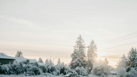 véhicule dans un paysage enneigé