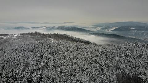 Met sneeuw bedekte bomen onder witte wolken overdag