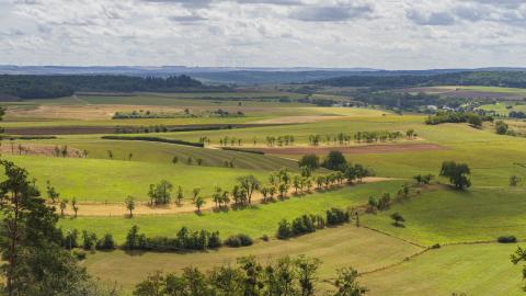 Prairies à perte de vue dans la Petite Suisse au Luxembourg.