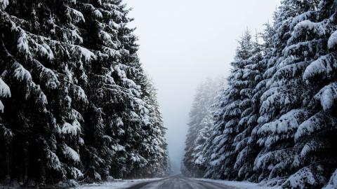 L’hiver en Ardennes
