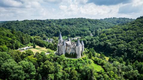 château entièrement entouré d'une forêt verdoyante.