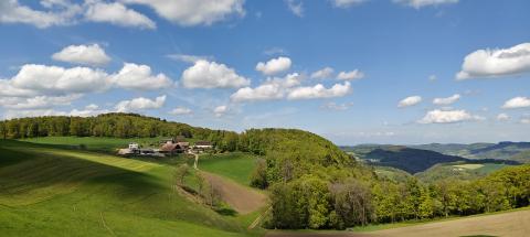 Suisse paysage verdoyant et vallonné.