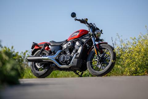 Harley-Davidson Nightster statique.