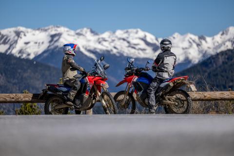 Honda CRF300 Rally