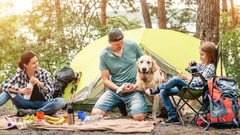 Happy family with dog resting near tent during picnic in wood