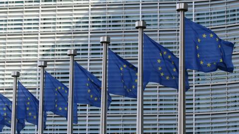 rangée de drapeaux de l’Union européenne