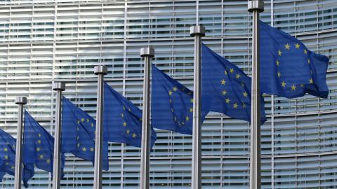 rij Europese unie vlaggen