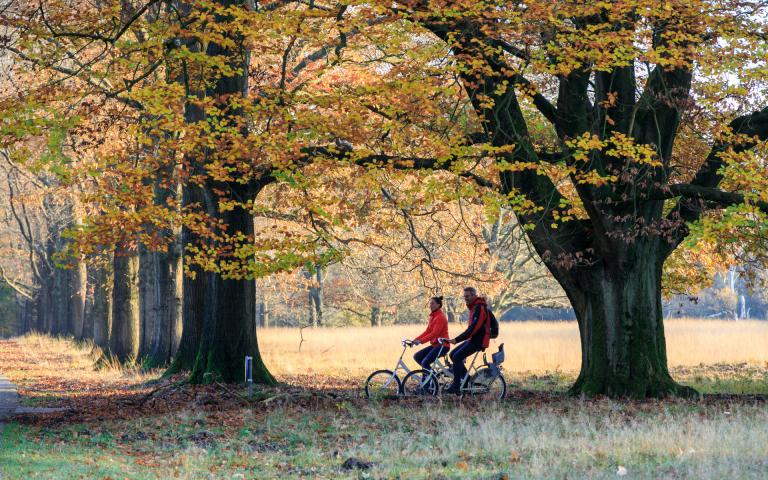 Achterhoek openingsbeeld