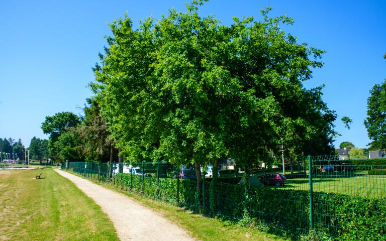 CAMPING DU LAC AU DUC